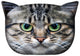 Bertoni prydnadskudde Boris the cat 30x45 cm, velour, kattmönster, allergivänligt inlägg