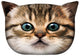 Bertoni prydnadskudde Gapcio Cat 30x45 cm, velour, kattmönster, allergivänligt inlägg