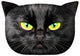 Bertoni Cat Nero prydnadskudde 30x45 cm, velour, kattmönster, allergivänligt inlägg
