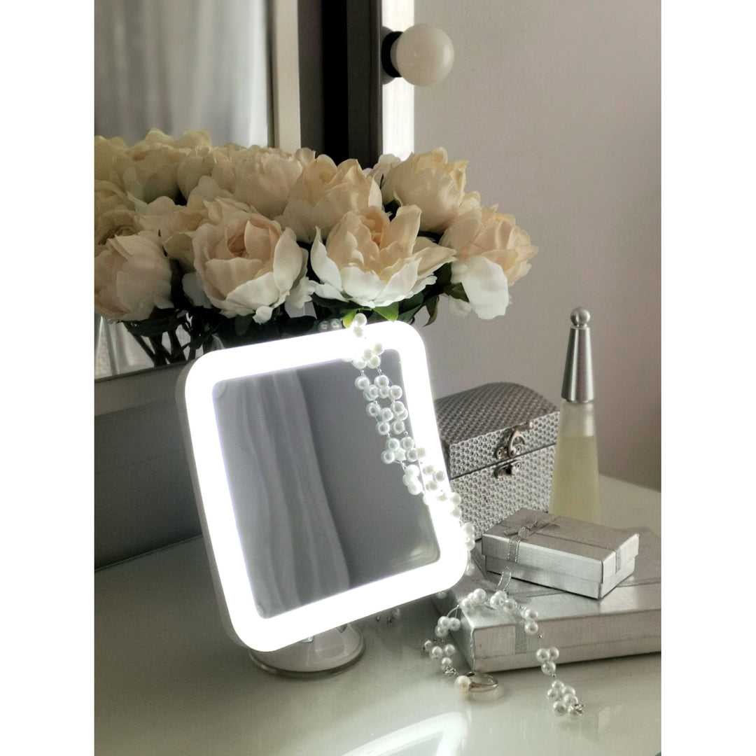 Badrumsspegel, vridbar med LED-belysning CR 2169