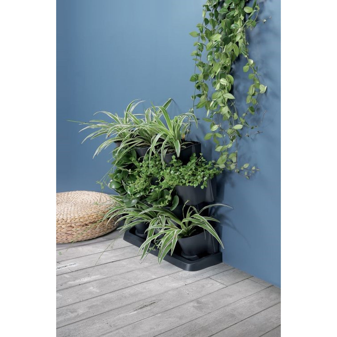 Vertikal stående trädgård Prosperplast Cascade Garden antracit