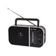 Bärbar analog radio AM/FM RA6 batteri- och nätdriven Blow