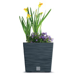 Prosperplast Furu Square Low blomkruka med insats DFS300-S433 - antracitfärgad
