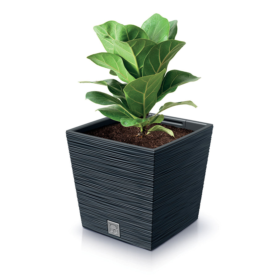 Prosperplast Furu Square Low blomkruka med insats DFS300-S433 - antracitfärgad