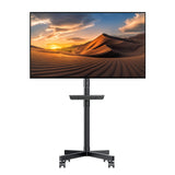 TV-stativ Maclean, professionell, 32-55", på hjul, max. VESA 400x400, max. 25kg, MC-949