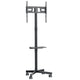 TV-stativ Maclean, professionell, 32-55", på hjul, max. VESA 400x400, max. 25kg, MC-949