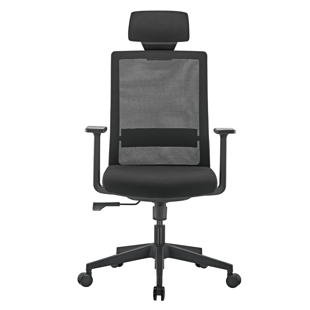 Premium ergonomisk kontorsstol med hög rygg Ergo Office, max 150 kg, ER-425