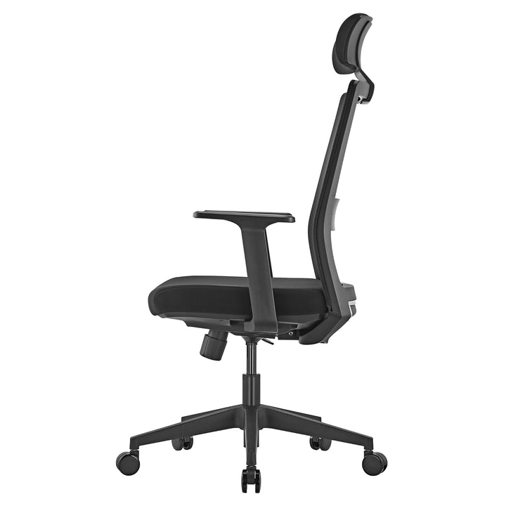 Premium ergonomisk kontorsstol med hög rygg Ergo Office, max 150 kg, ER-425