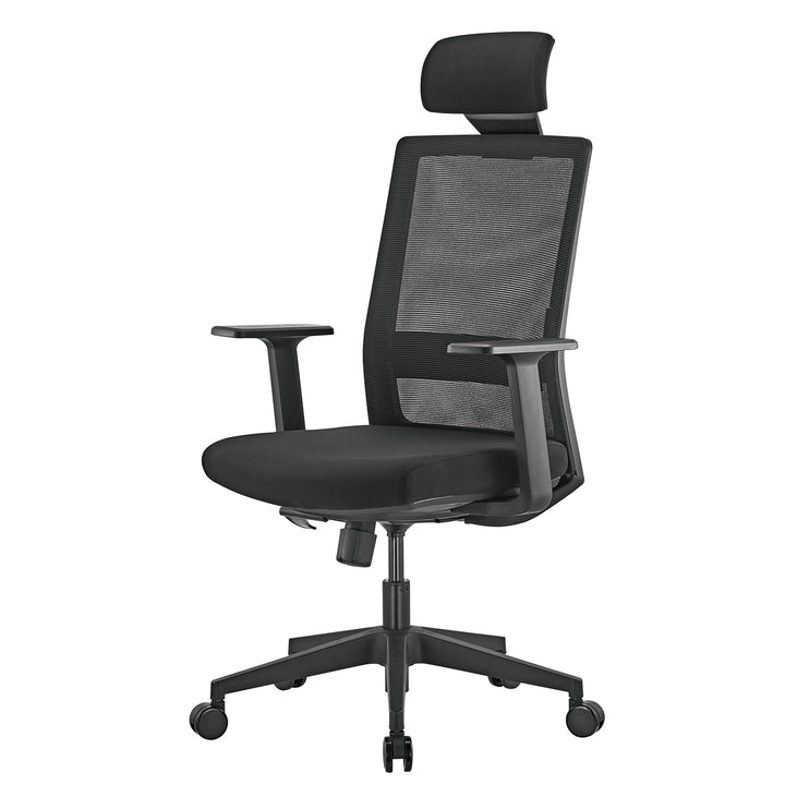 Premium ergonomisk kontorsstol med hög rygg Ergo Office, max 150 kg, ER-425