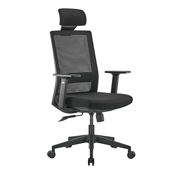 Premium ergonomisk kontorsstol med hög rygg Ergo Office, max 150 kg, ER-425