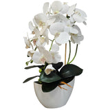Damich konstgjord orkidé, blommor, tillverkad av gummi, 2pgb