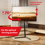 Maclean golvstativfäste för TV, 32-70", max. VESA 400x400, max. 40kg, MC-494