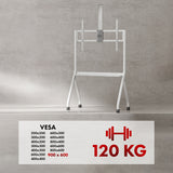 Maclean TV-stativ / vagn, kamerahylla, på hjul, 55-100", maxlast 120kg/10kg hylla, max. VESA 900x600, vit, MC-114 W