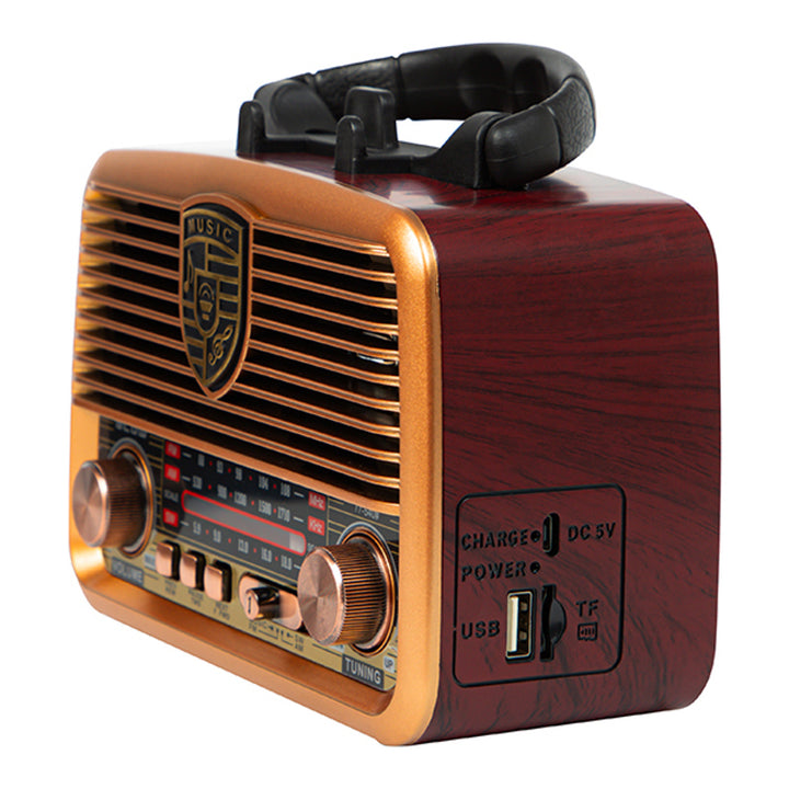 AM/FM BT BLOW RA10 bärbar solcellsradio