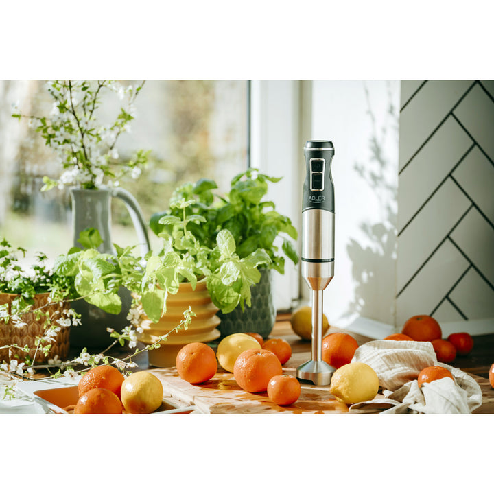 Stavmixer Adler, Turbo-funktion, ice crush-funktion, 1900W, AD 4628