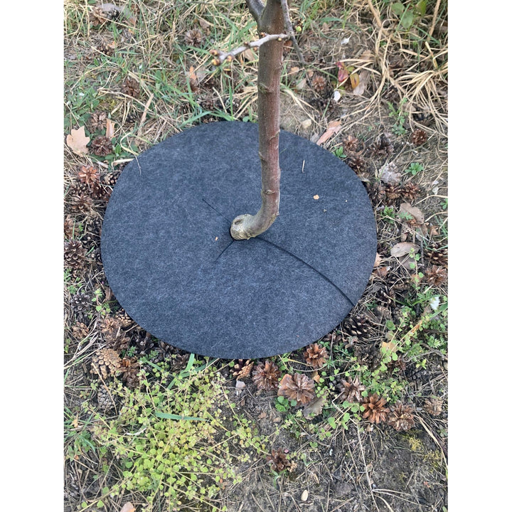 Bertoni anti-grässkivset, 6 delar, 40 cm, grå