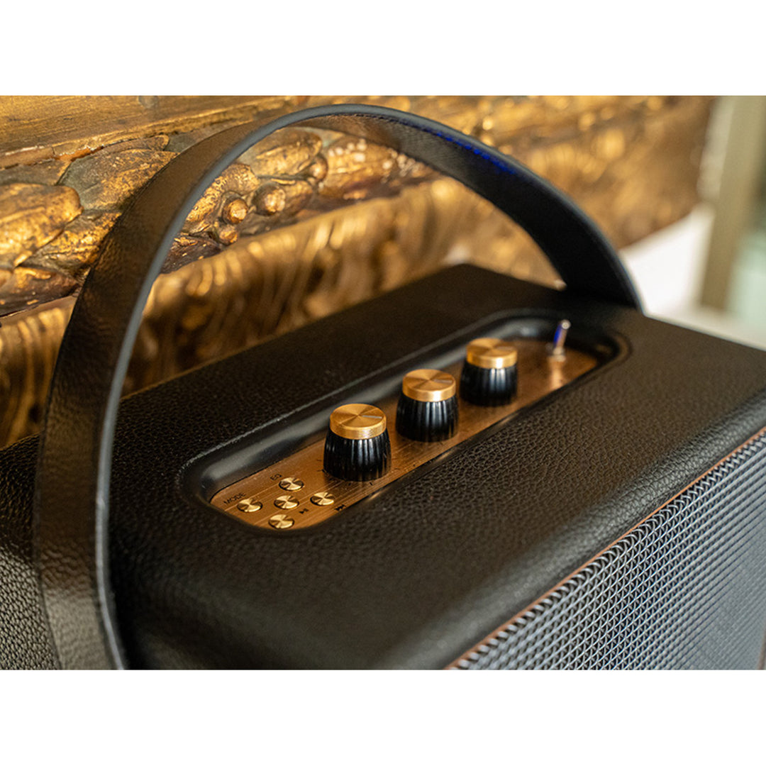 Tracer bärbar högtalare, Bluetooth, FM-radio, 30W, svart, M30