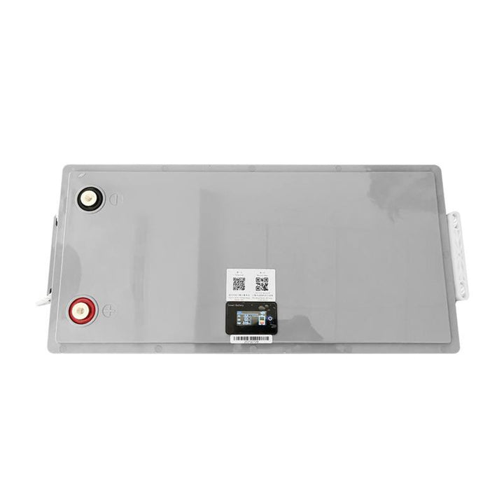 LiFePo4 Lexton litium-järnfosfatbatteri, med BMS, 12,8V, 200Ah, LXLFP200