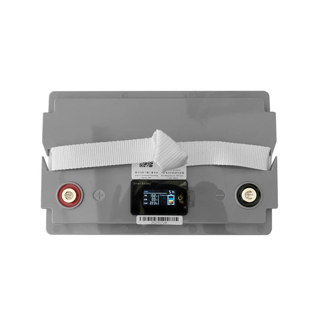 Lexton litiumjärnfosfat LiFePO4-batteri, med BMS, 12,8V, 70Ah, LXLFP70 + LTC Energy LiFePO4-batterilikriktare