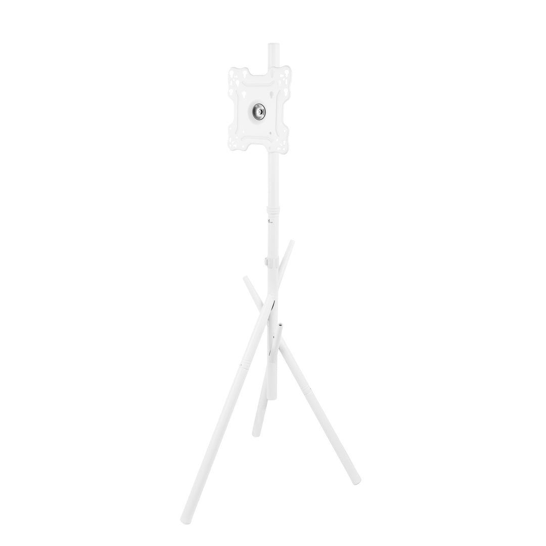 Golvfäste/golvstativ för TV Maclean, 27–55 tum, max. VESA 200x200, max. 60 kg, MC-181 W