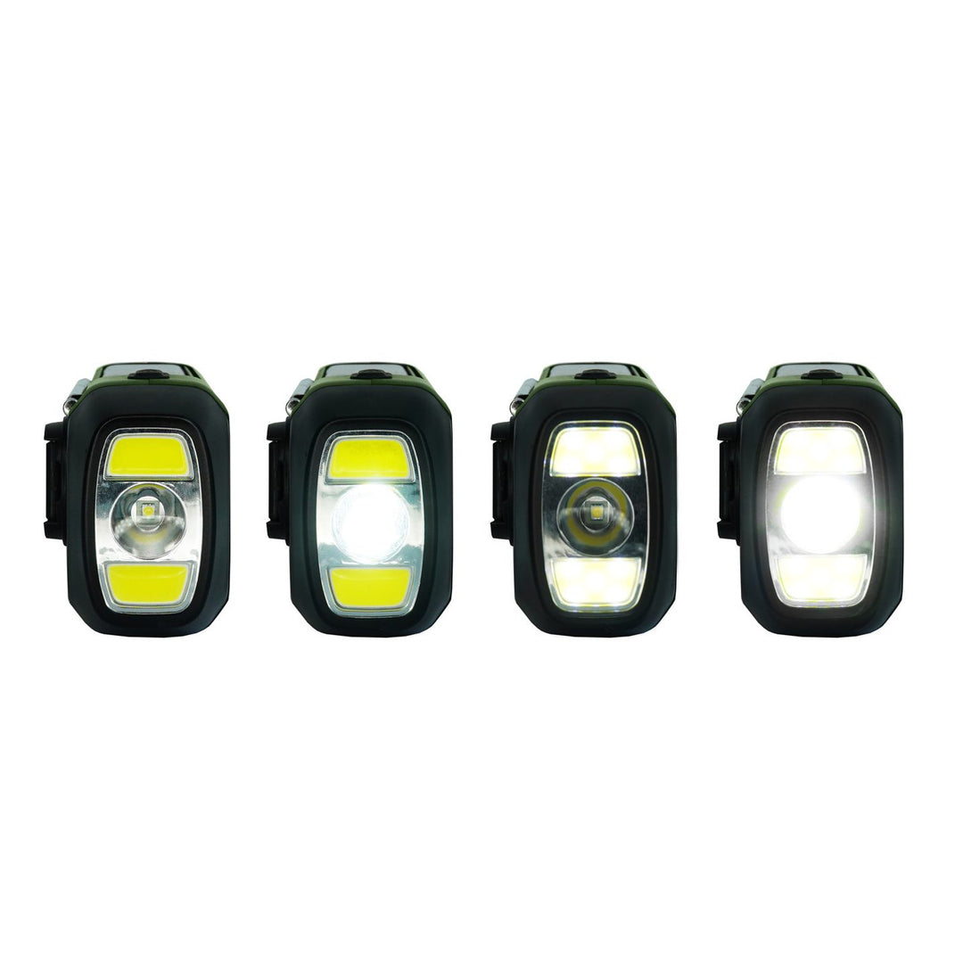 FM-larmradio från Blaupunkt, LED-ficklampa, läslampa, trippel laddningssystem, SOS-larm, ER20GC