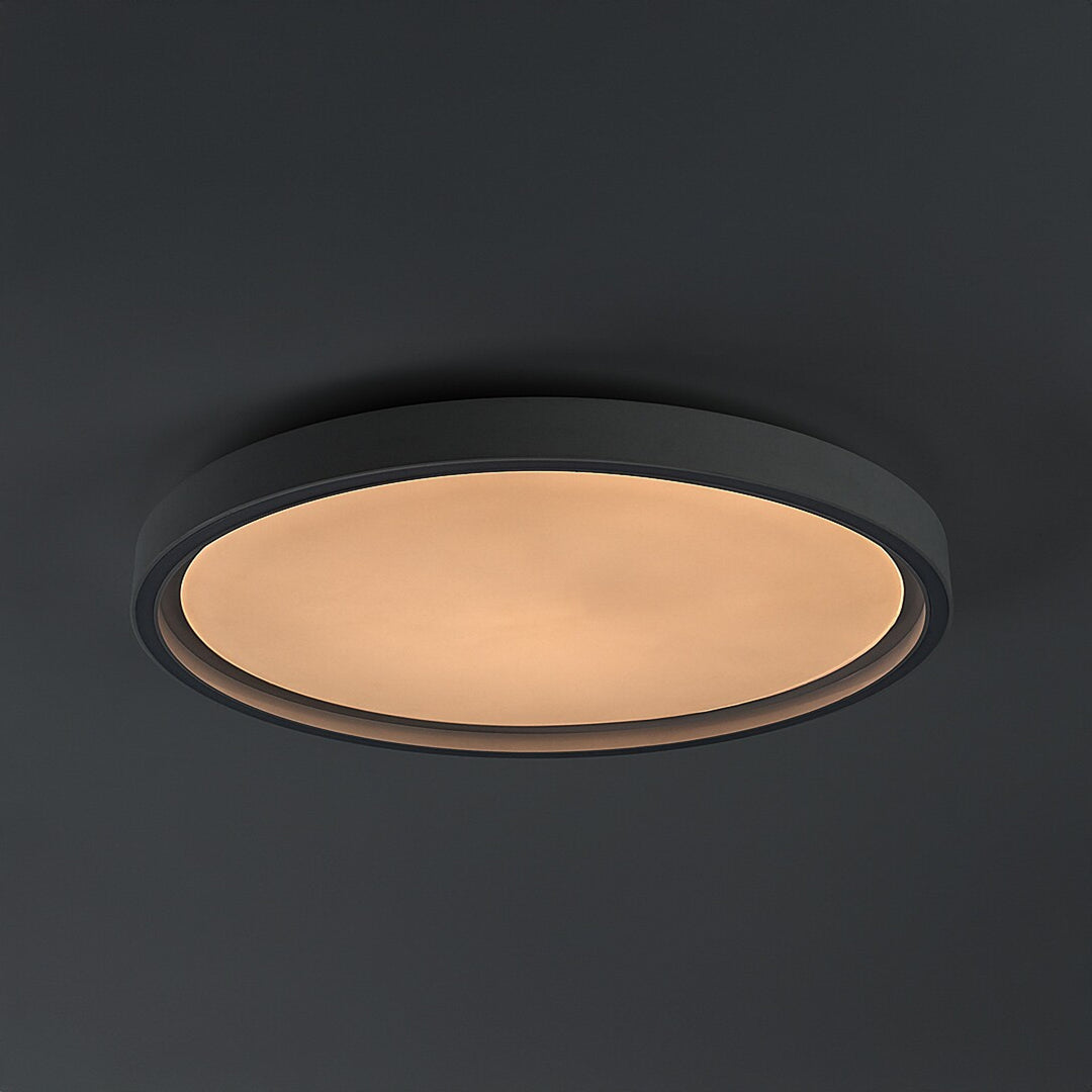 Taklampa Rabalux Zerina, 31 W, IP40, vit, 3000–6500 K, minnesfunktion, med fjärrkontroll, timerfunktion, nattlampeffekt, 75086