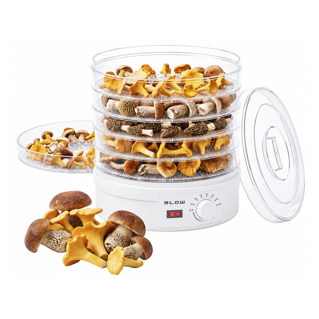 Tork för svamp, grönsaker och frukt – Blow, effekt 500 W, 6 galler ingår, temperaturreglering 35–75 °C, 44–175