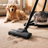 Påsfri dammsugare LOVIO VacuuFlex L PRO LVCVC004 899 W 3 L med fjärrkontroll