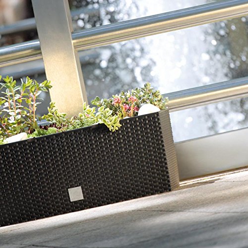 Kvadratisk rottingplanter 17L umbra Prosperplast Rato DRTC500 440U