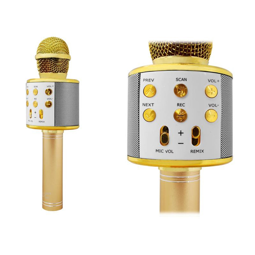 LTC MIC100 Trådlös Bluetooth-Mikrofon Med Högtalare Karoke Handhållen Mikrofon 5W (Guld)