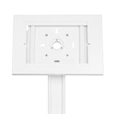 Bordsfäste för surfplatta mot stöld Kompatibelt med 9,7"/10,2", iPad, 10,5", iPad Air/iPad Pro, 10,1", Samsung Galaxy, Tab A (2019) (Vit)