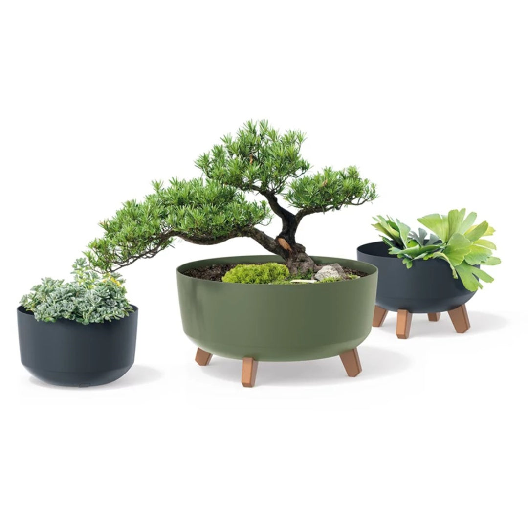 Gracia Låg Blomkruka Med Avtagbara Ben Inkl. Insats För Inomhus Och Utomhus Plast UV-Beständig (380mm, Ljusgrå)