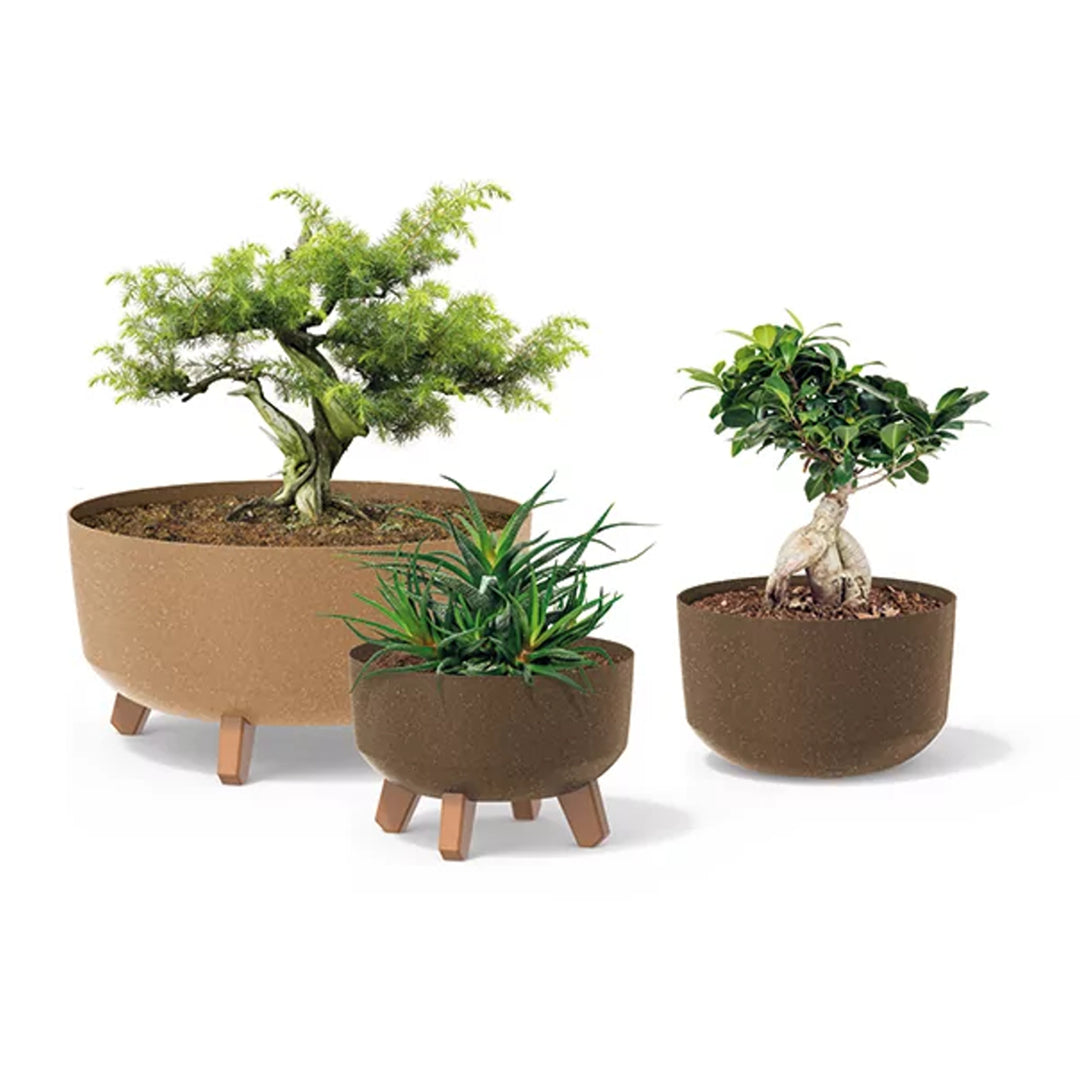 Low Eco Wood Blomkruka Med Avtagbara Ben Inkl. Insats För Inomhus- Och Utomhusbruk Plast UV-Beständig (380mm, ECO Vit)