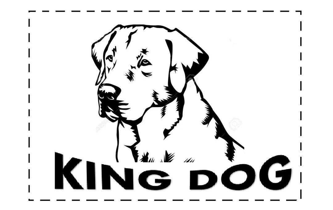 KingDog Hund- Och Kattsäng Med Två Kuddar Hundkudde Hundkorg Husdjurssäng Tvättbar Vattentät PVC-Material M 75x65cm M