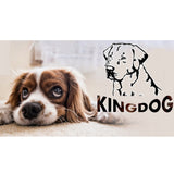 KingDog Hund- Och Kattsäng Med Två Kuddar Hundkudde Hundkorg Husdjurssäng Tvättbar Vattentät PVC-Material M 75x65cm  M