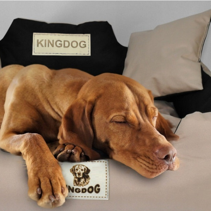 KingDog Hund- Och Kattsäng Med Två Kuddar Hundkudde Hundkorg Husdjurssäng Tvättbar Vattentät PVC-Material M 75x65cm  M