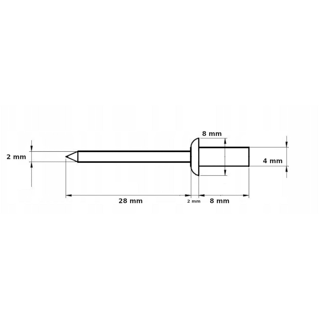 Nitar 4x8 - Gyllene Ek (Förpackning - 100 Stycken) Komplett