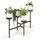 Prosperplast Bloomie Stand IKD4L-S449 Fyrbent Blomsterbädd Med Metallram - Krukväxtfärg Vit