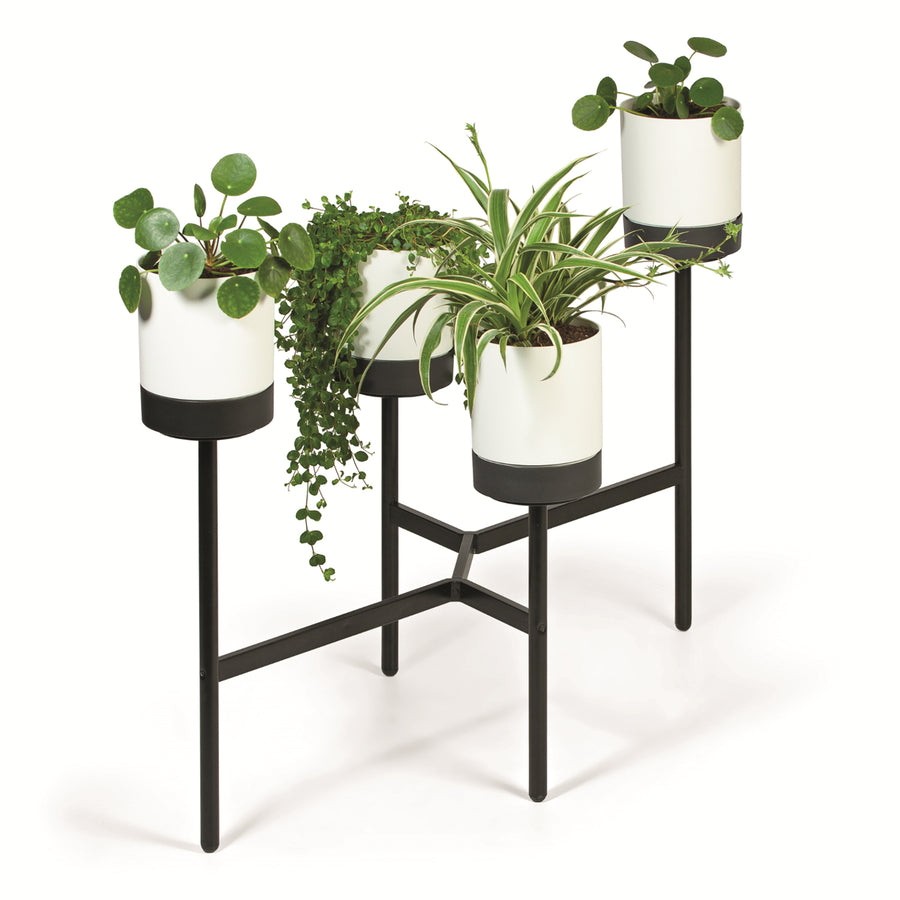 Prosperplast Bloomie Stand IKD4L-S449 Fyrbent Blomsterbädd Med Metallram - Krukväxtfärg Vit
