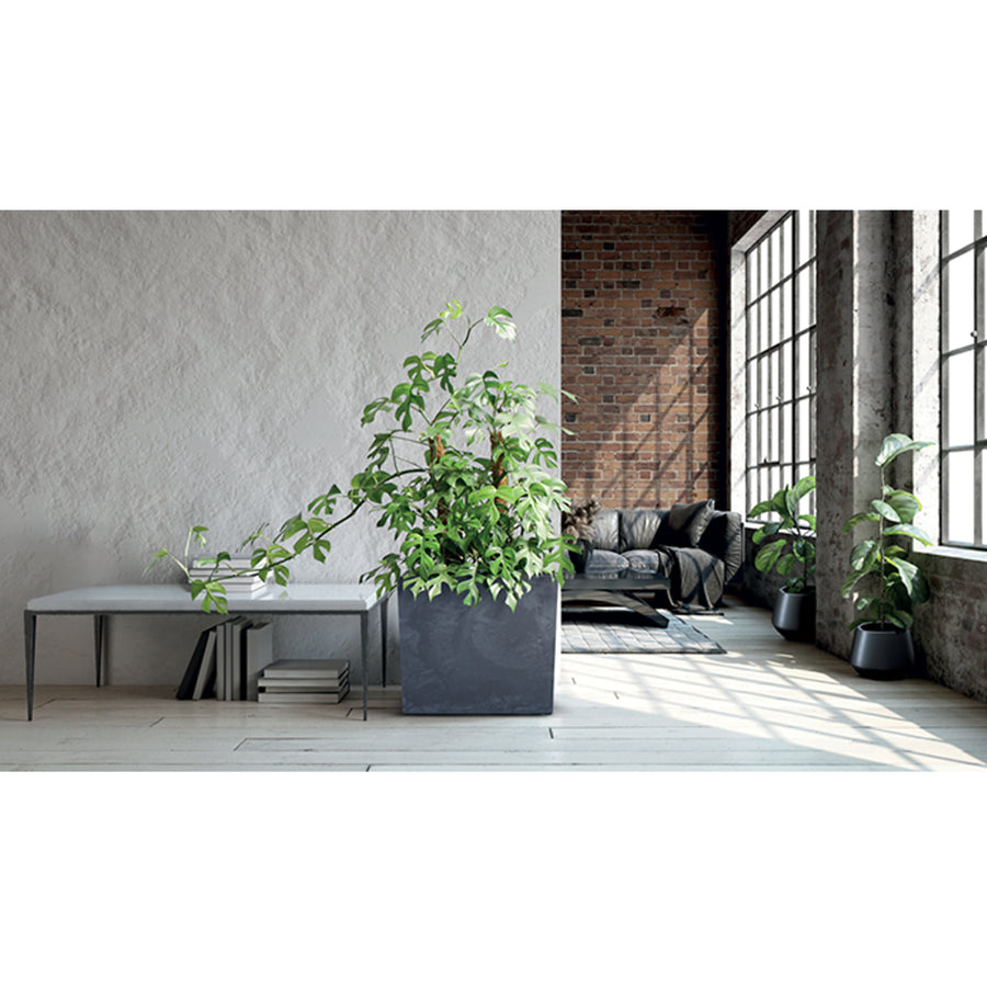 Urbi Case Betong Effekt Tower Planter Med Inre Kruka Växt Tråg Blomtråg För Inomhus Och Utomhusbruk Rektangulär Plast (77x23,5x68,7cm, Antracit)