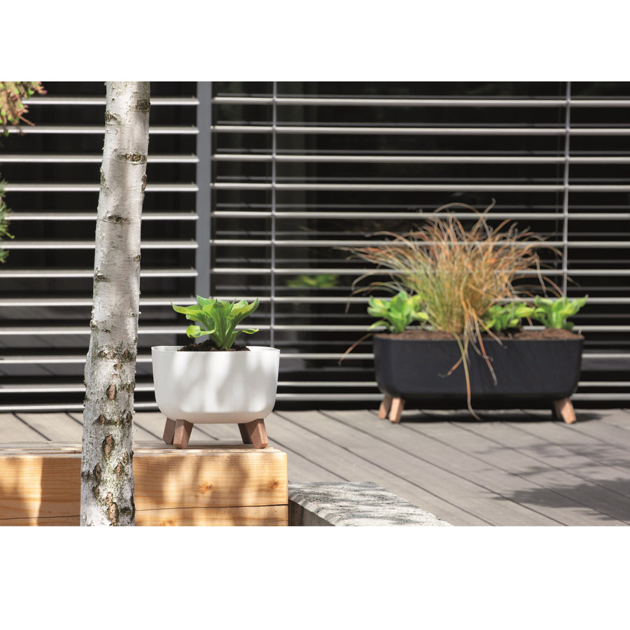 Prosperplast Gracia Square Blomkruka Med Avtagbara Ben Inkl. Insats För Inomhus Och Utomhusbruk Square Planter Plastic UV-beständig 24x24x18,7cm Antracit